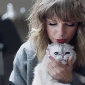 Meet your Posher, Xinyan